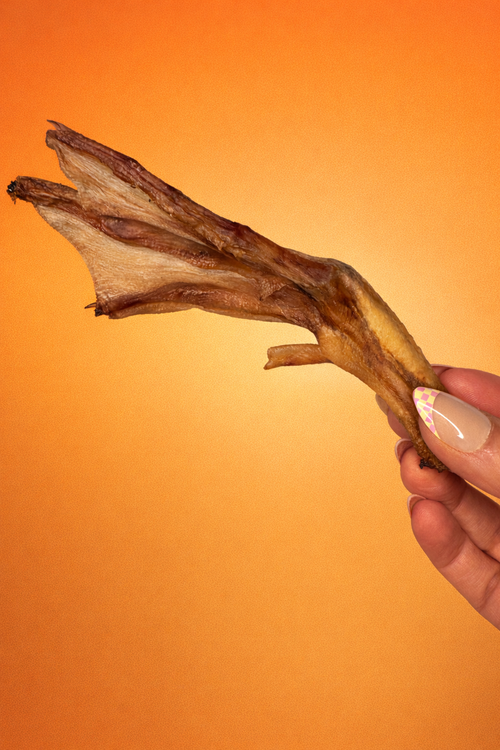 Dehydrated Duck Feet