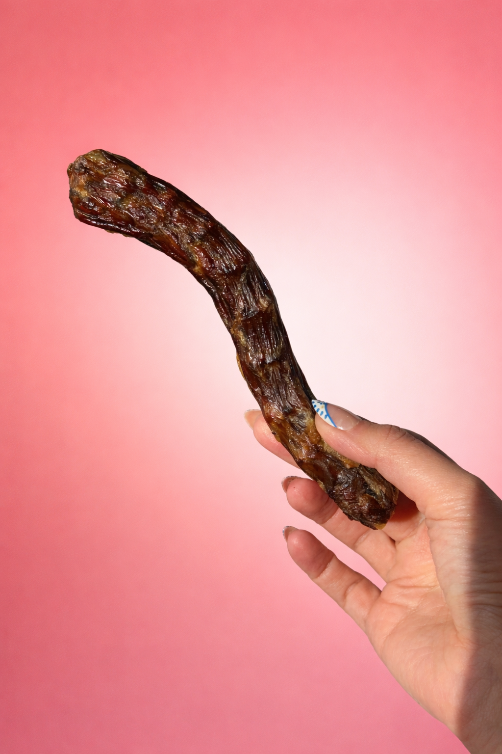 Dehydrated Duck Neck
