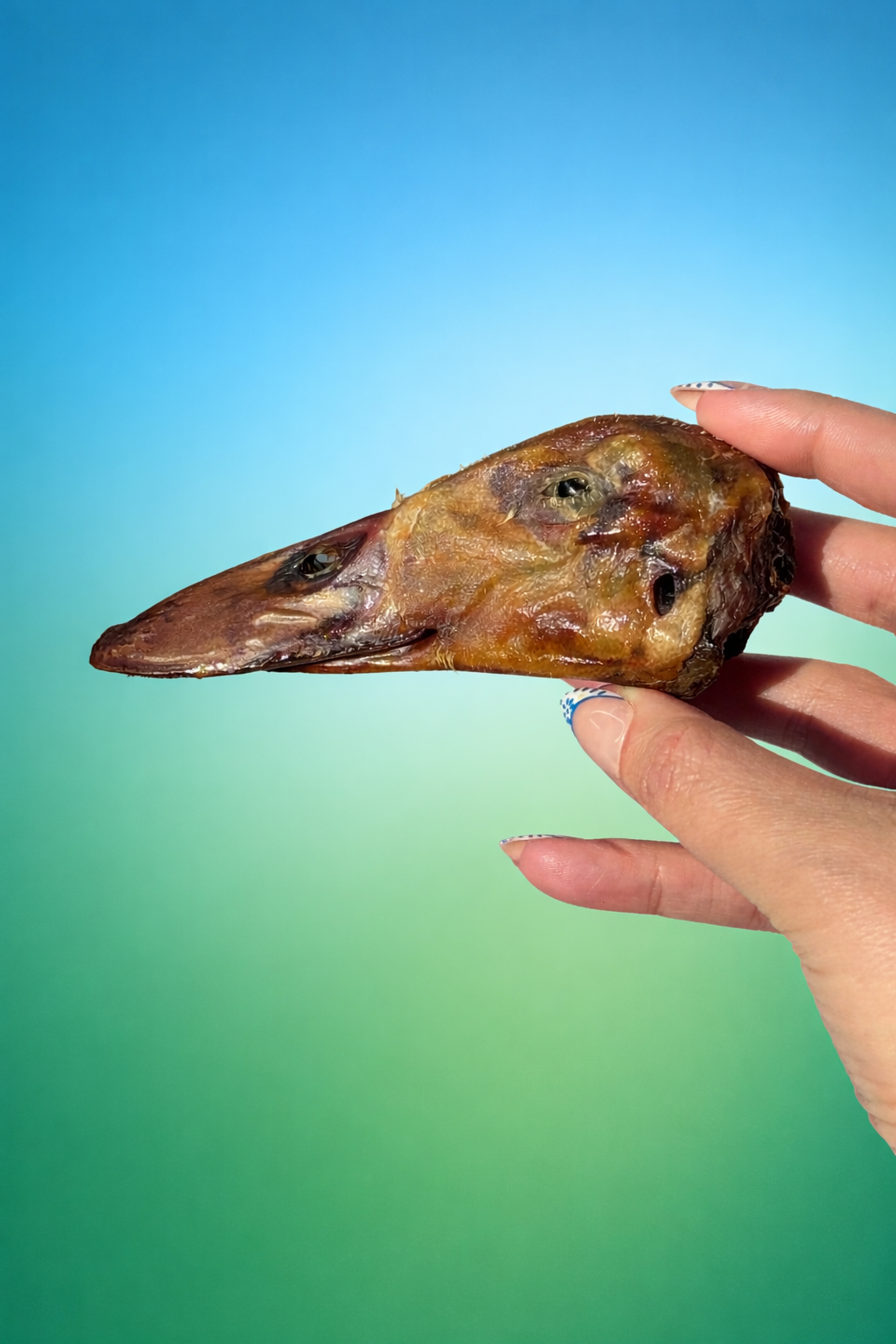 Dehydrated Duck Heads