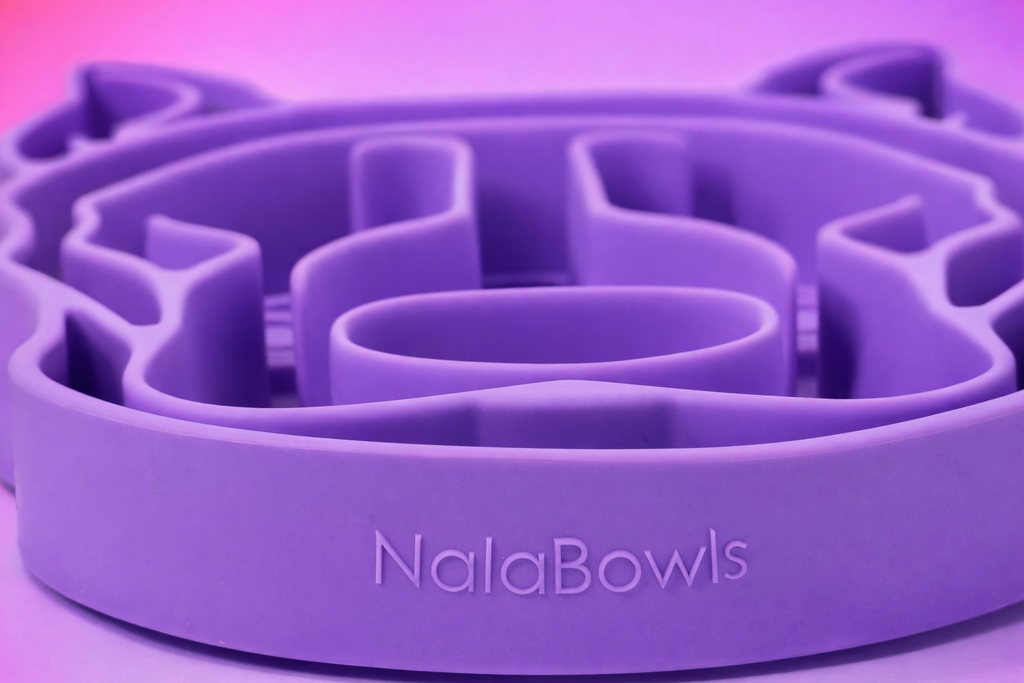 The Alpha Bowl (Canada)