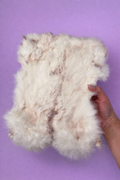 Dehydrated Rabbit Hide Plate