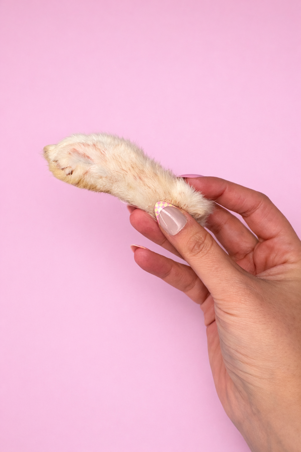 Dehydrated Rabbit Feet